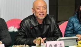 深圳金先生最新爆料,揭秘最新行业动态